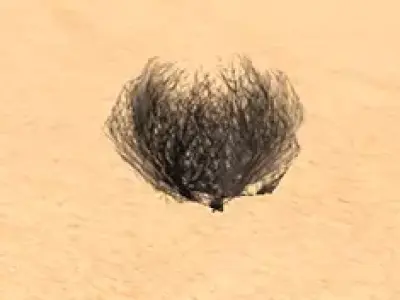 A set for playing in the desert Free low-poly 3D model