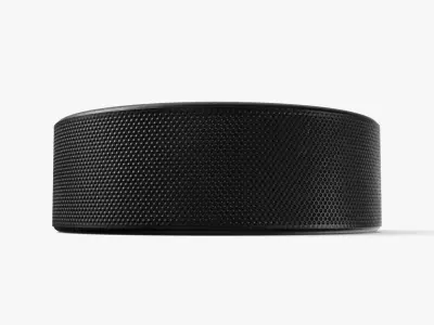 Hockey Puck 3D model buy