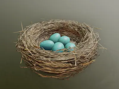 Bird Nest 3D model 3