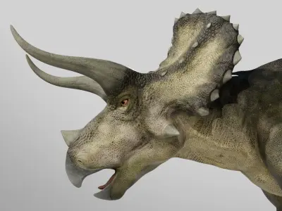  Triceratops Rig Low-poly 3D model