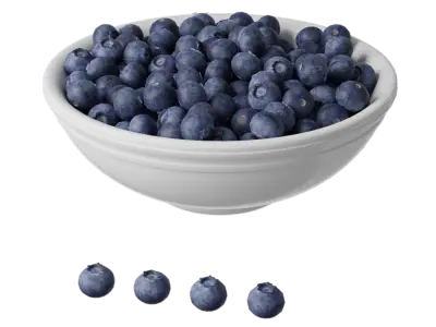  Blueberries Fruit Food Model 
