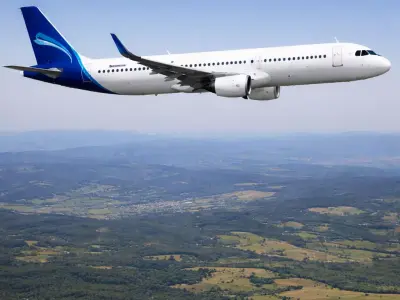 A321neo Passenger Airliner Commercial Aircraft 3D Model 3D model