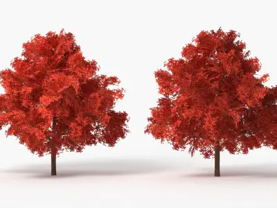  Lowpoly Red Oak Forest Tree 