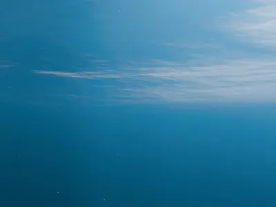 Ocean underwater scene setup 3D Model 3D model