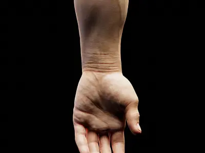 Human Hand with Beret collection  Low-poly 3D model