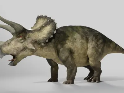  Triceratops Rig Low-poly 3D model