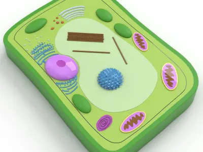 Plant Cell 3D model