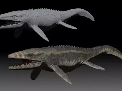 Mosasaurus fish with long teeth Free 3D model