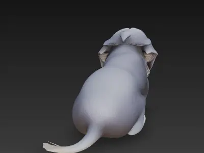 Dog Puppy Realistic 3D Model Basic - Low Poly Realistic Low-poly 3D model