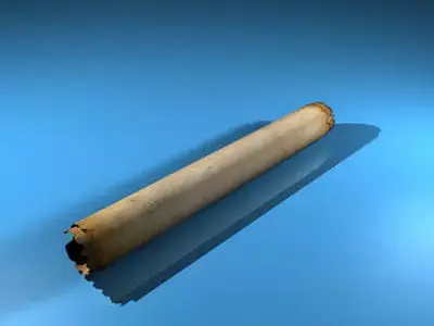 Papyrus cigar 3D model