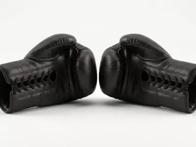 Professional Lace Up Black Leather Boxing Gloves 3D model