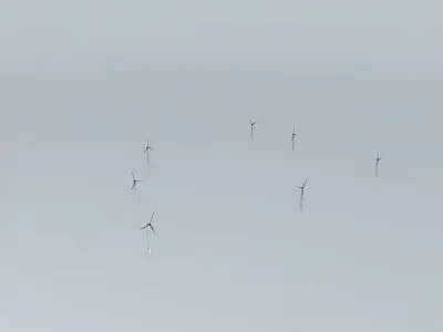 Woolnorth Wind Farm -2 Free 3D model