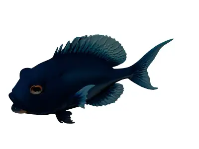 Stylized Metallic Blue Fish Model 3D model