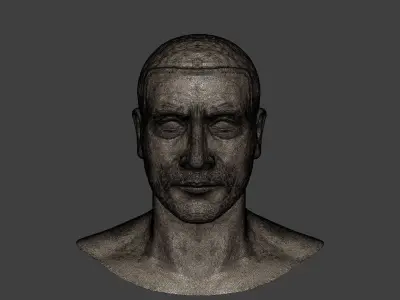 Man Head - Bust  3D model