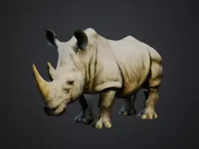 Rhino 3D model get
