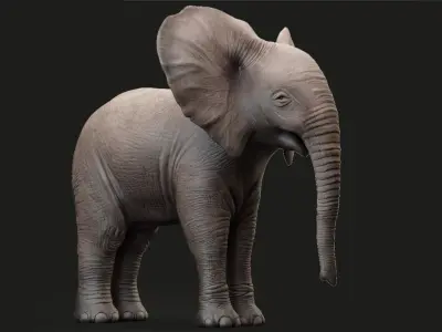 Animated Elephant Baby 3D 3D model