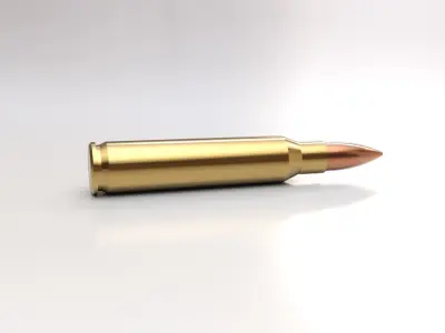 223 cartridge 3D model