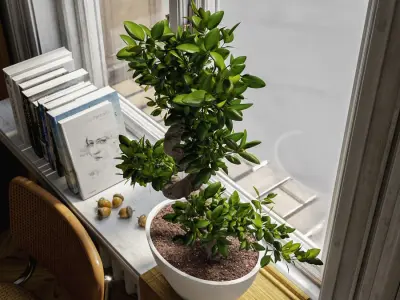  Bonsai Potted Plant Model  buy
