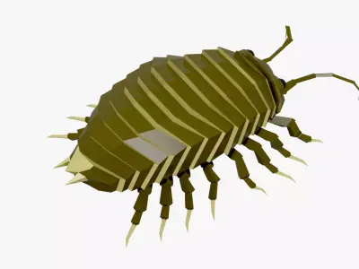 Bug low poly Low-poly 3D model buy