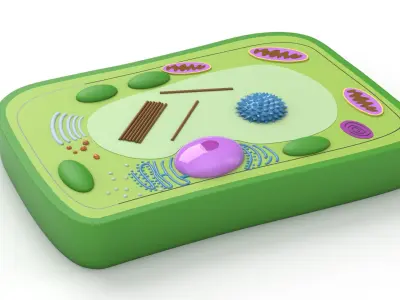 Plant Cell 3D model