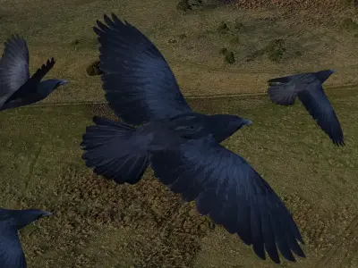 Low poly animated crow Low-poly 3D model