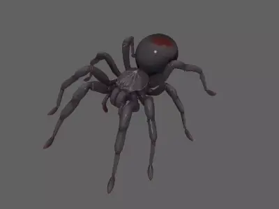 Spider 3D model 16