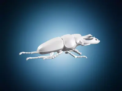 Stag Beetle Insect Nature Miniature Model 3D print model