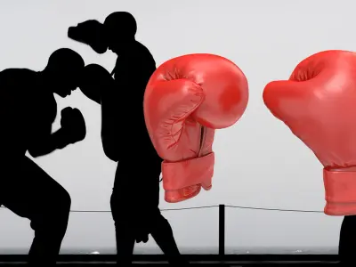 Boxing Gloves Fighting Pose 3D Model