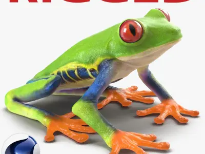 Red Eyed Tree Frog Rigged for Cinema 4D 3D model