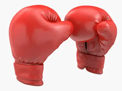 Boxing Gloves Fighting Pose 3D Model