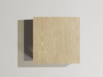 PRAGA square of wood on wall 3D model