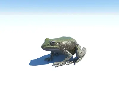 Frog low-poly 3D model on sky Free low-poly 3D model
