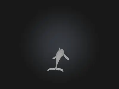 Realistic Hurt Dolphin Model Low-poly 3D model