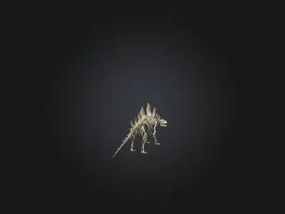 Realistic Stegosaurus Skeleton Model Low-poly 3D model