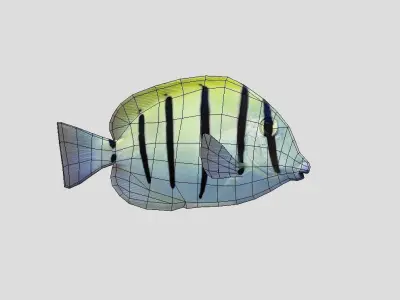 Acanthurus Triostegus Convict Tang Realistic Animated Low-poly 3D model