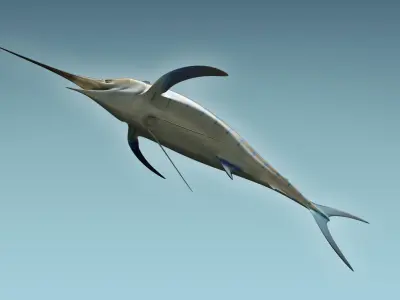 Marlin 3D model