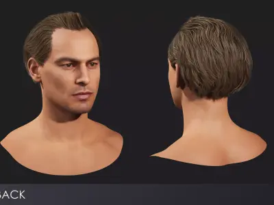 Realistic male hairstyles - pack 5 Low-poly 3D model
