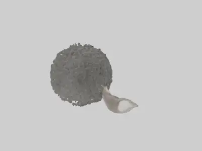 Koala Tail Low-poly 3D model