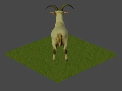 Modelo 3D Cabra para Blender 3D model