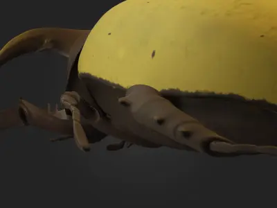 Beetle horned reptile with long tail Low-poly 3D model
