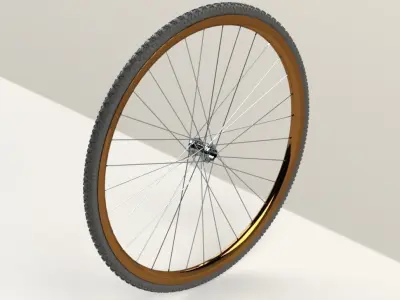 Bicycle Rim With Tire Off-road  3D model