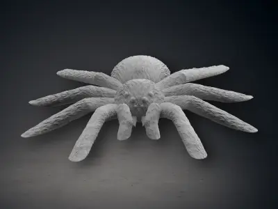Tarantula 3D print model