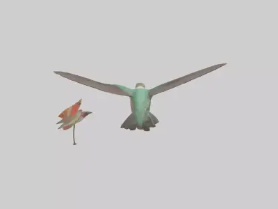 Common Hummingbird hovering model 3D model
