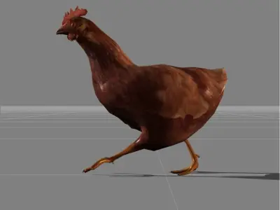 hen v1 Low-poly 3D model
