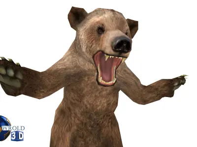 Animal Bear Rigged-Animated Pack Lowpoly 3d model Low-poly 3D model