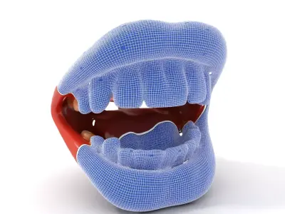 Realistic Human Mouth model pack Low-poly 3D model