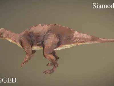 Thai Dinosaur Siamodon Low-poly 3D model