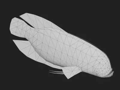 Greygiantgourami Low-poly 3D model