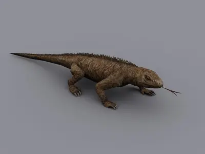 animated reptile lizard Low-poly 3D model