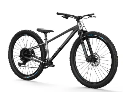 MTB hardtail metallic silver gloss black Low-poly 3D model